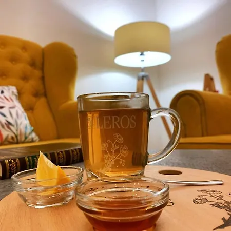 בית הארחה Solisko***