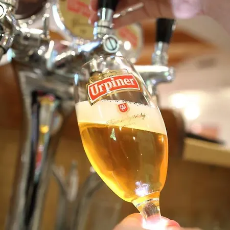 Solisko*** אוסקדניצה