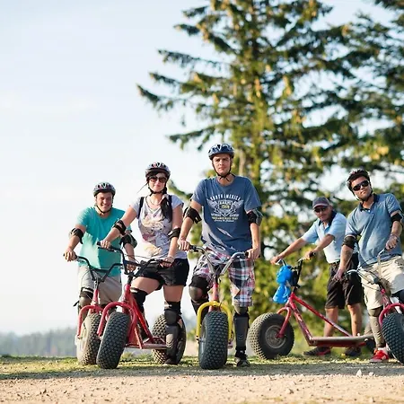 בית הארחה Solisko***